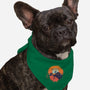 Spice of Life-dog bandana pet collar-Ionfox