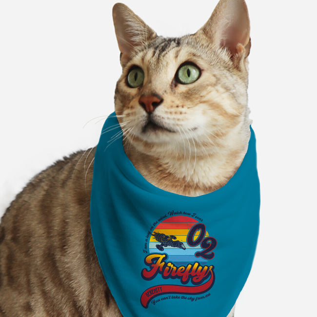 Can't Take the Sky-cat bandana pet collar-DrMonekers
