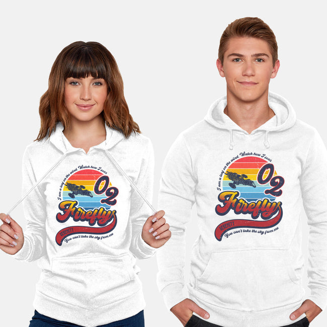 Can't Take the Sky-unisex pullover sweatshirt-DrMonekers