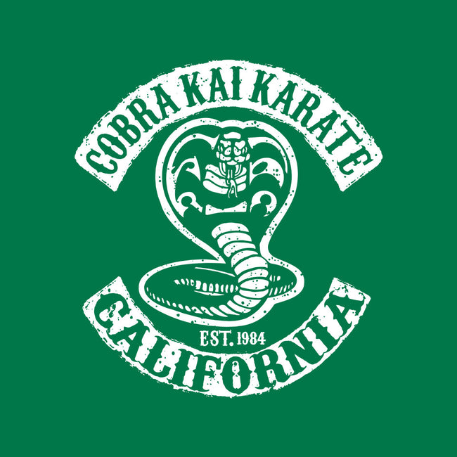 Cobra Kai Karate-samsung snap phone case-dalethesk8er