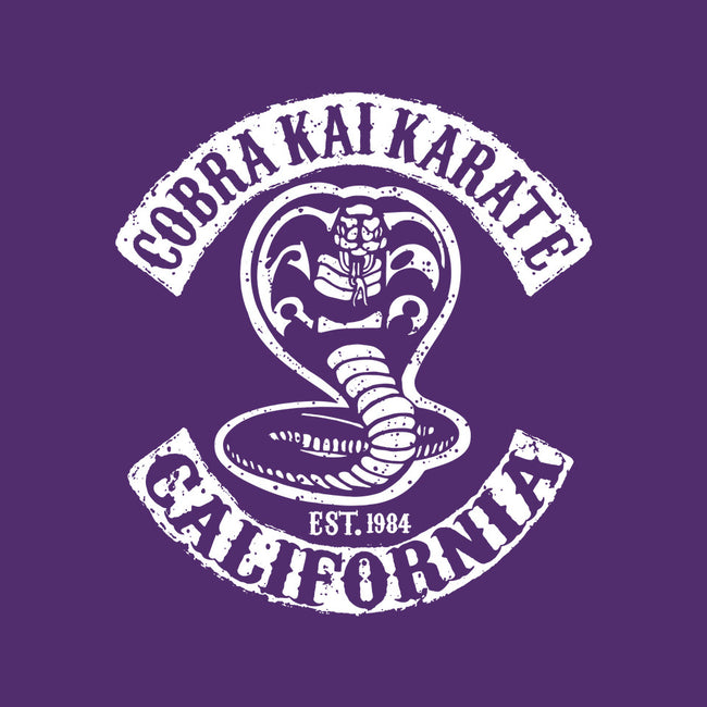 Cobra Kai Karate-youth basic tee-dalethesk8er