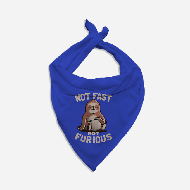 Not Fast and Not Furious-cat bandana pet collar-eduely