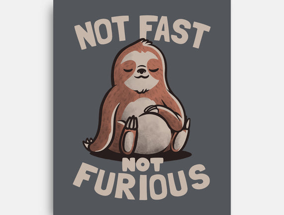 Not Fast and Not Furious