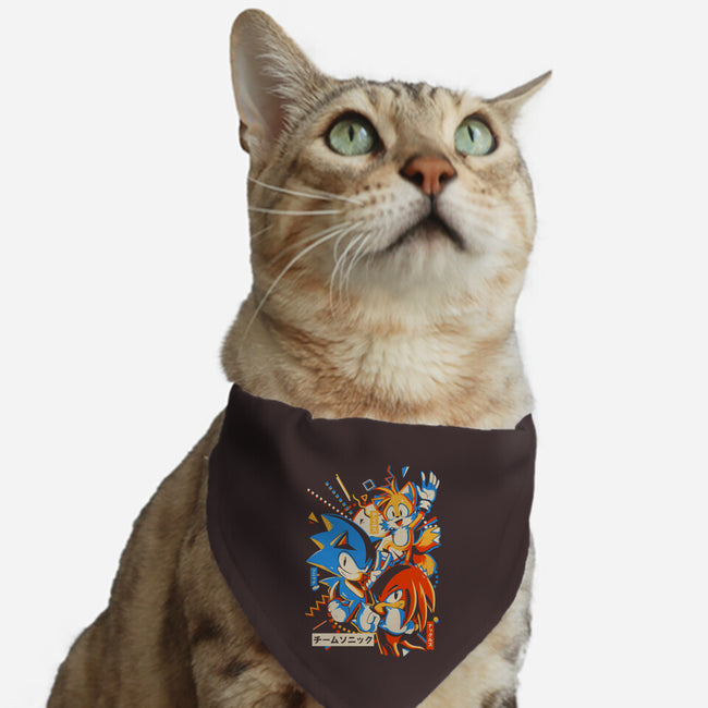 Mania Team-cat adjustable pet collar-Gazo1a