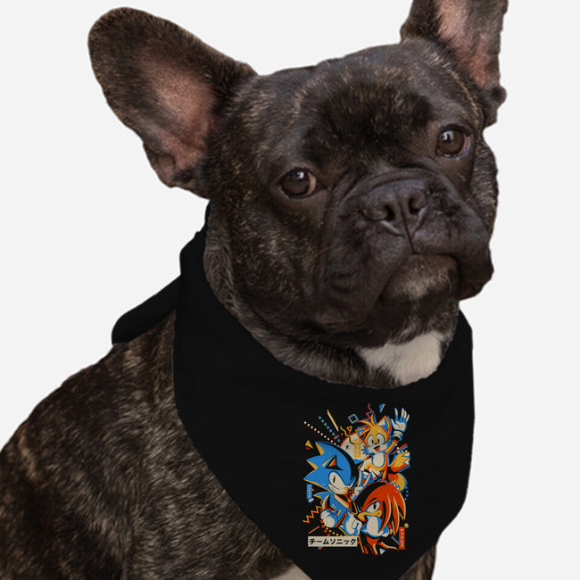Mania Team-dog bandana pet collar-Gazo1a