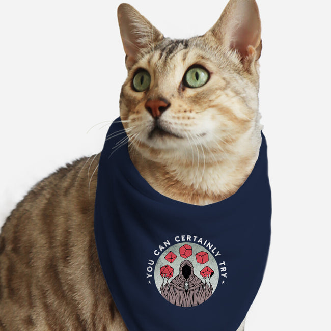 You Can Certainly Try-cat bandana pet collar-ShirtGoblin