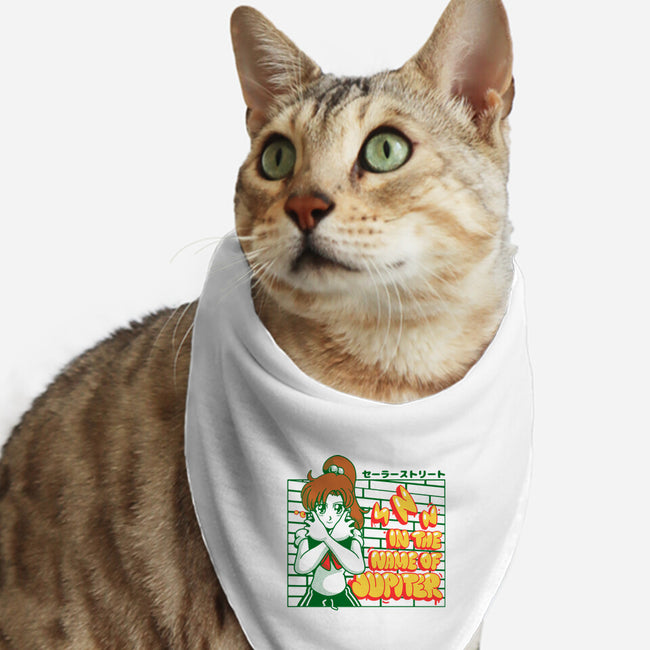 Jupiter Street-cat bandana pet collar-estudiofitas