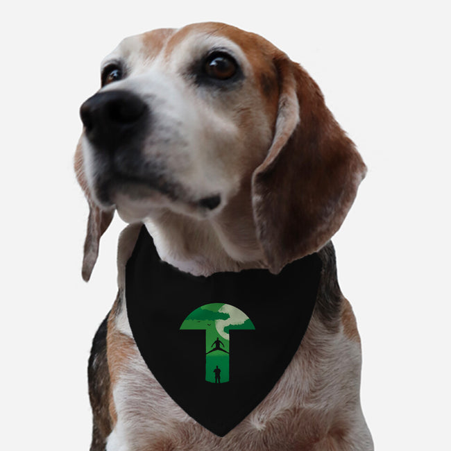 Infiltration-dog adjustable pet collar-Astoumix