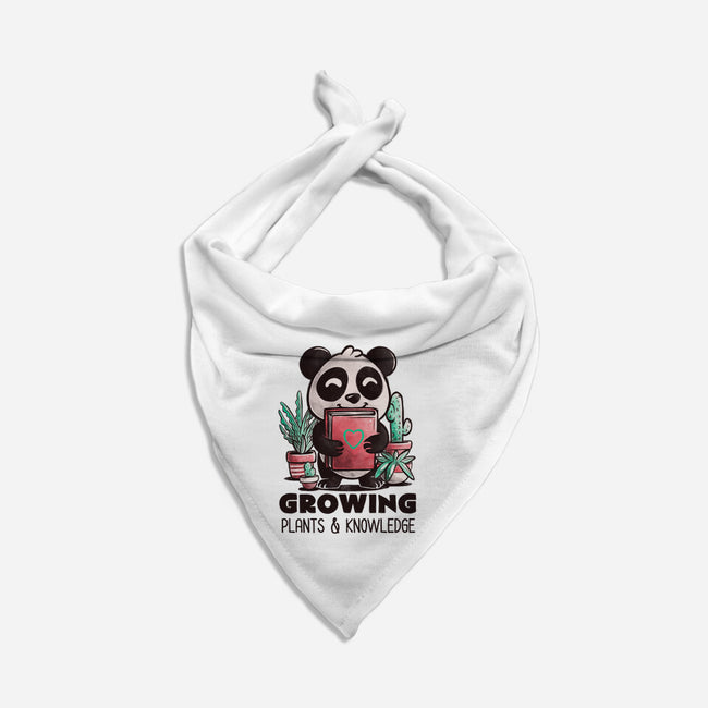 Growing-dog bandana pet collar-koalastudio