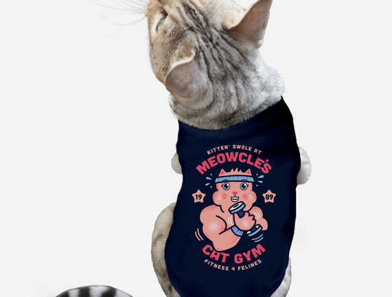 Meowcle's Cat Gym
