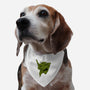 Primal EVA-dog adjustable pet collar-Hafaell