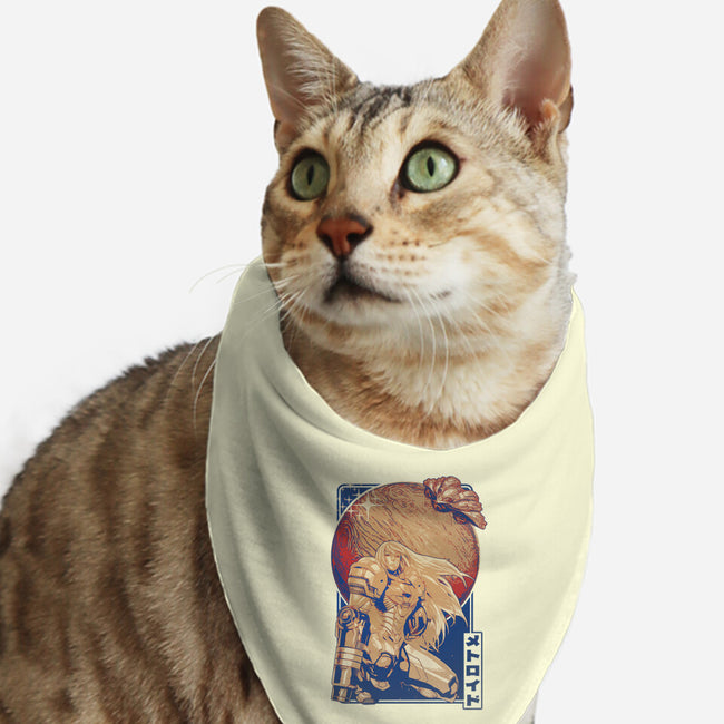 Interstellar Bounty Hunter-cat bandana pet collar-Kakafuty