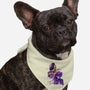 Humans After All-dog bandana pet collar-DrMonekers
