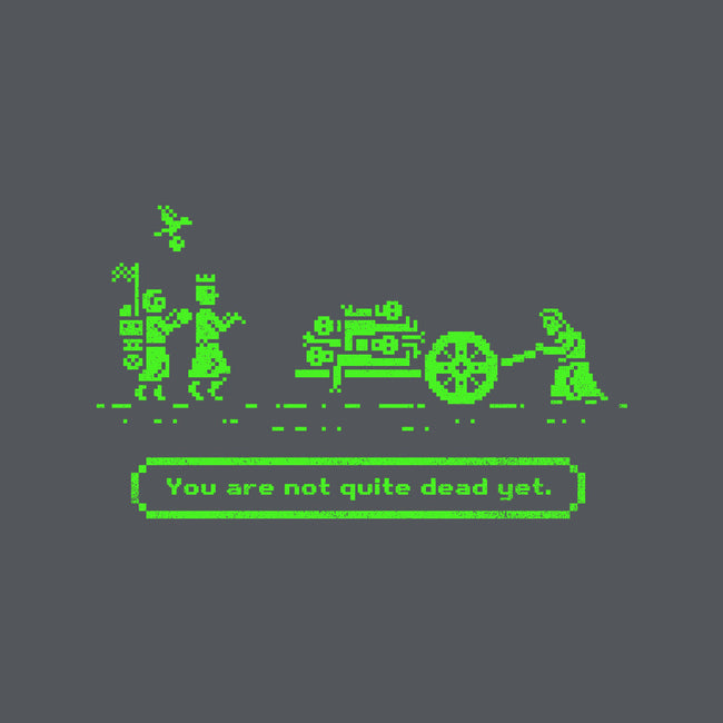 The Camelot Trail-womens basic tee-kg07