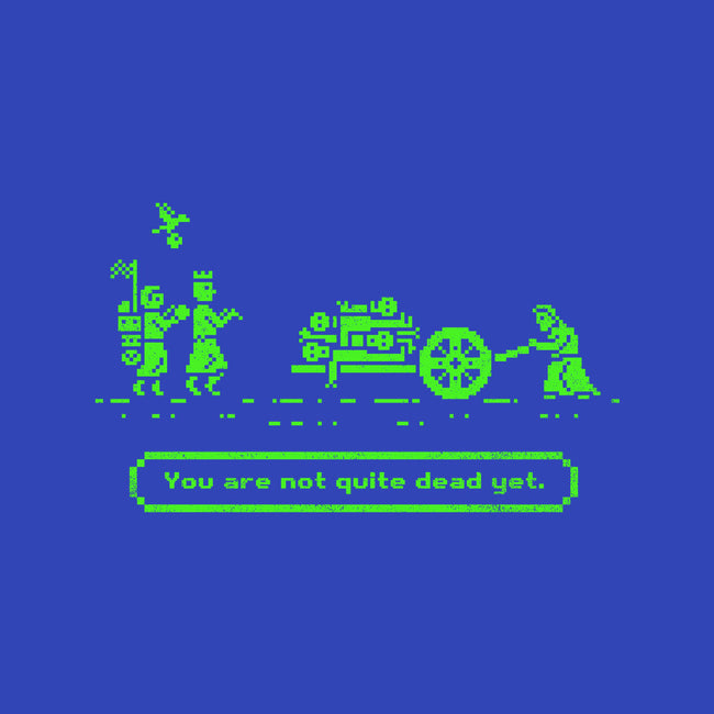 The Camelot Trail-womens basic tee-kg07