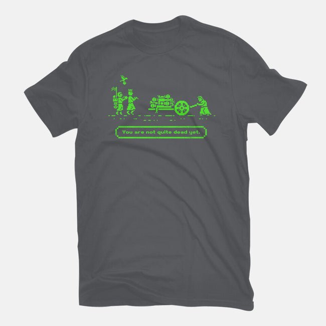 The Camelot Trail-womens fitted tee-kg07