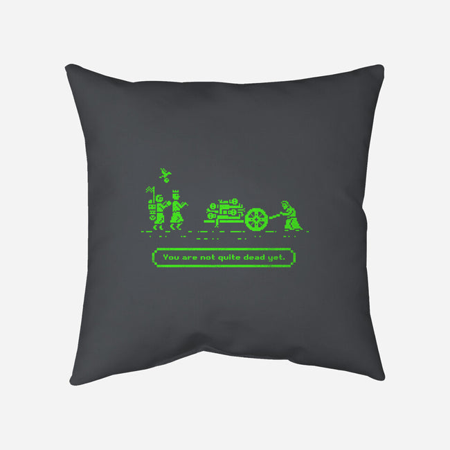 The Camelot Trail-none removable cover w insert throw pillow-kg07
