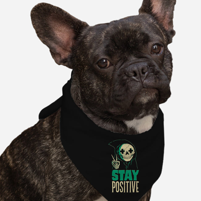 Stay Positive-dog bandana pet collar-DinoMike