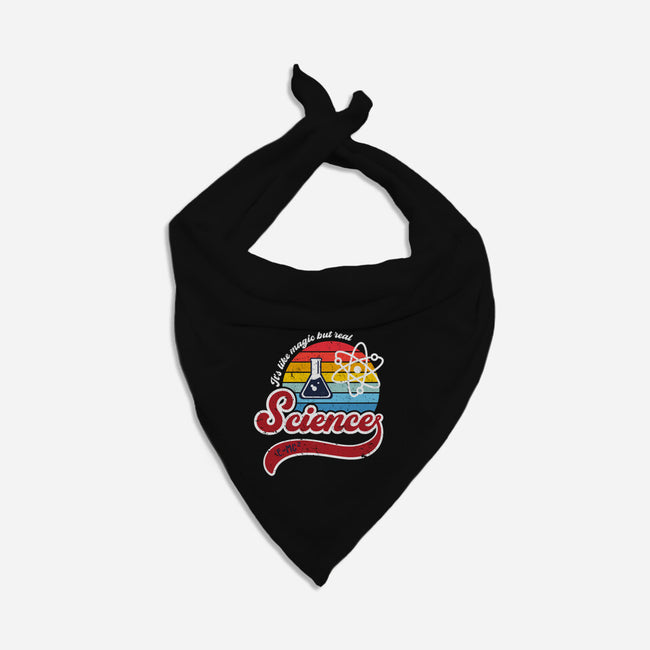 Science is Magic-dog bandana pet collar-DrMonekers