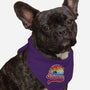 Science is Magic-dog bandana pet collar-DrMonekers