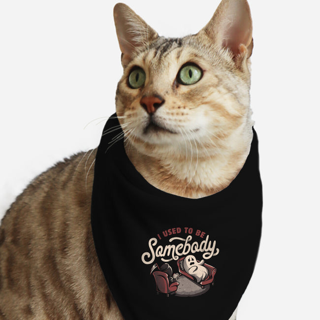 Used To Be Somebody-cat bandana pet collar-eduely
