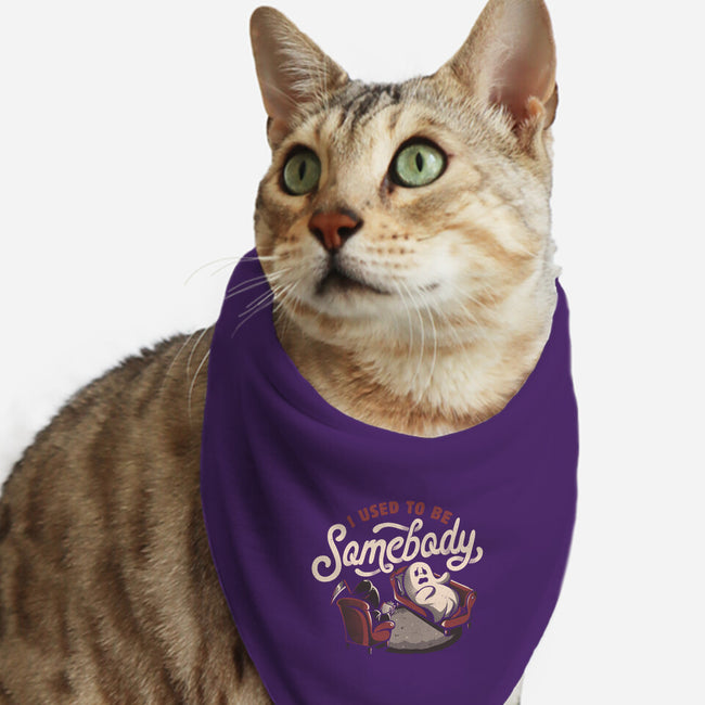 Used To Be Somebody-cat bandana pet collar-eduely