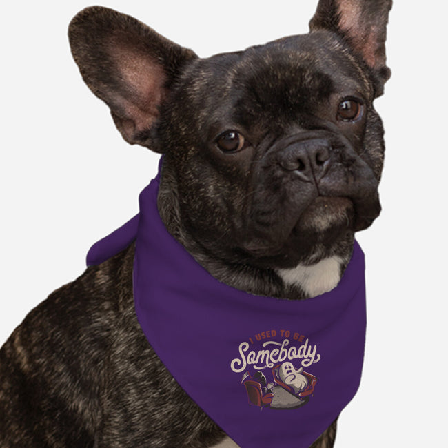 Used To Be Somebody-dog bandana pet collar-eduely