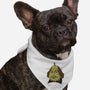 Shakes Pear!-dog bandana pet collar-vp021