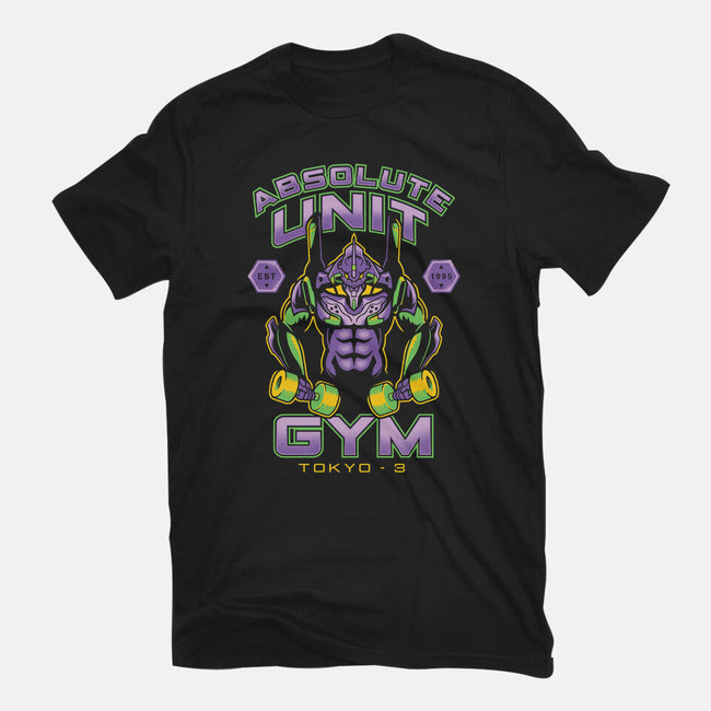 Absolute Unit Gym-womens basic tee-DCLawrence