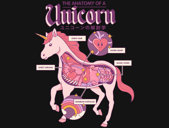 The Anatomy Of A Unicorn