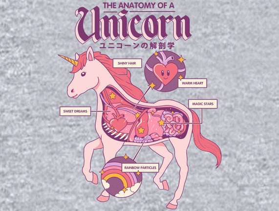 The Anatomy Of A Unicorn