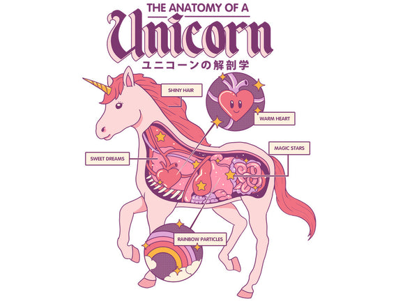 The Anatomy Of A Unicorn