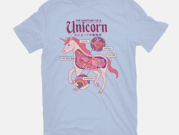 The Anatomy Of A Unicorn