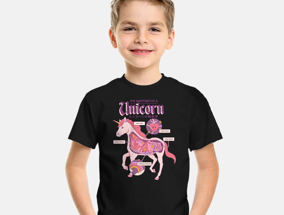 The Anatomy Of A Unicorn