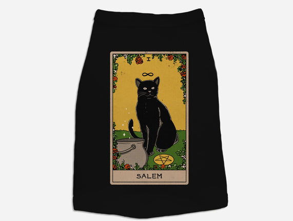 Salem The Cat