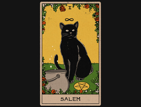 Salem The Cat