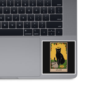 Salem The Cat