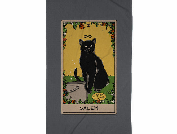 Salem The Cat