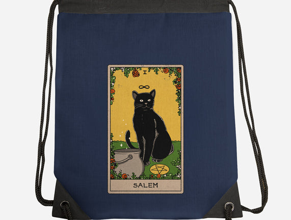 Salem The Cat