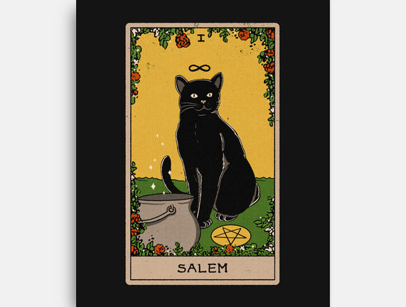 Salem The Cat