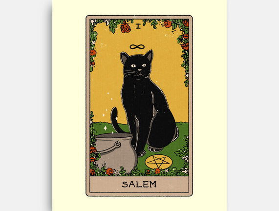 Salem The Cat