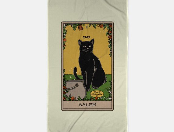 Salem The Cat