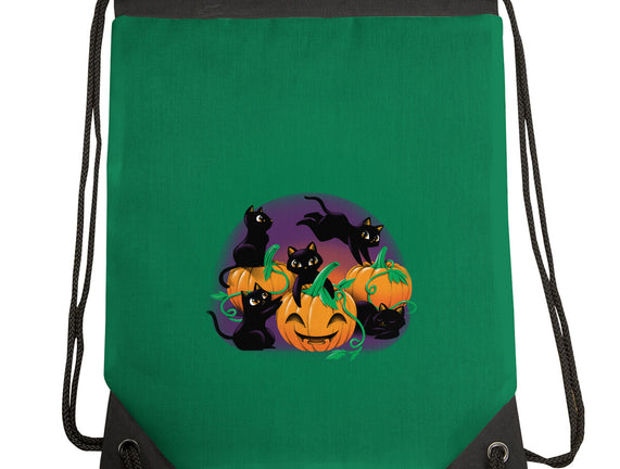 Hello Cat Halloween