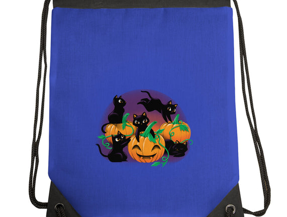 Hello Cat Halloween