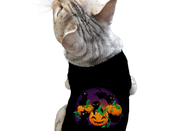 Hello Cat Halloween