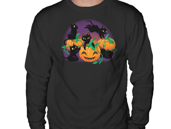 Hello Cat Halloween