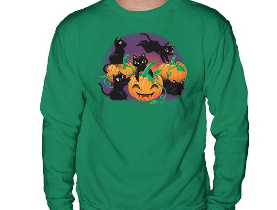 Hello Cat Halloween