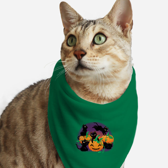 Hello Cat Halloween-cat bandana pet collar-tobefonseca