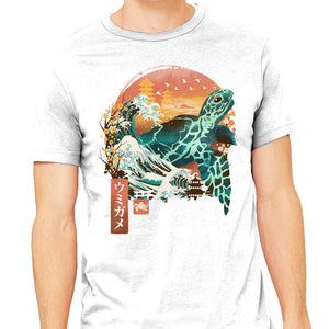 Kame Landscape
