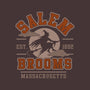 Salem Brooms-none removable cover w insert throw pillow-Thiago Correa